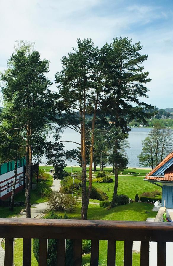 Lipno Beach Apartment ليبنو ناد فلتافو المظهر الخارجي الصورة