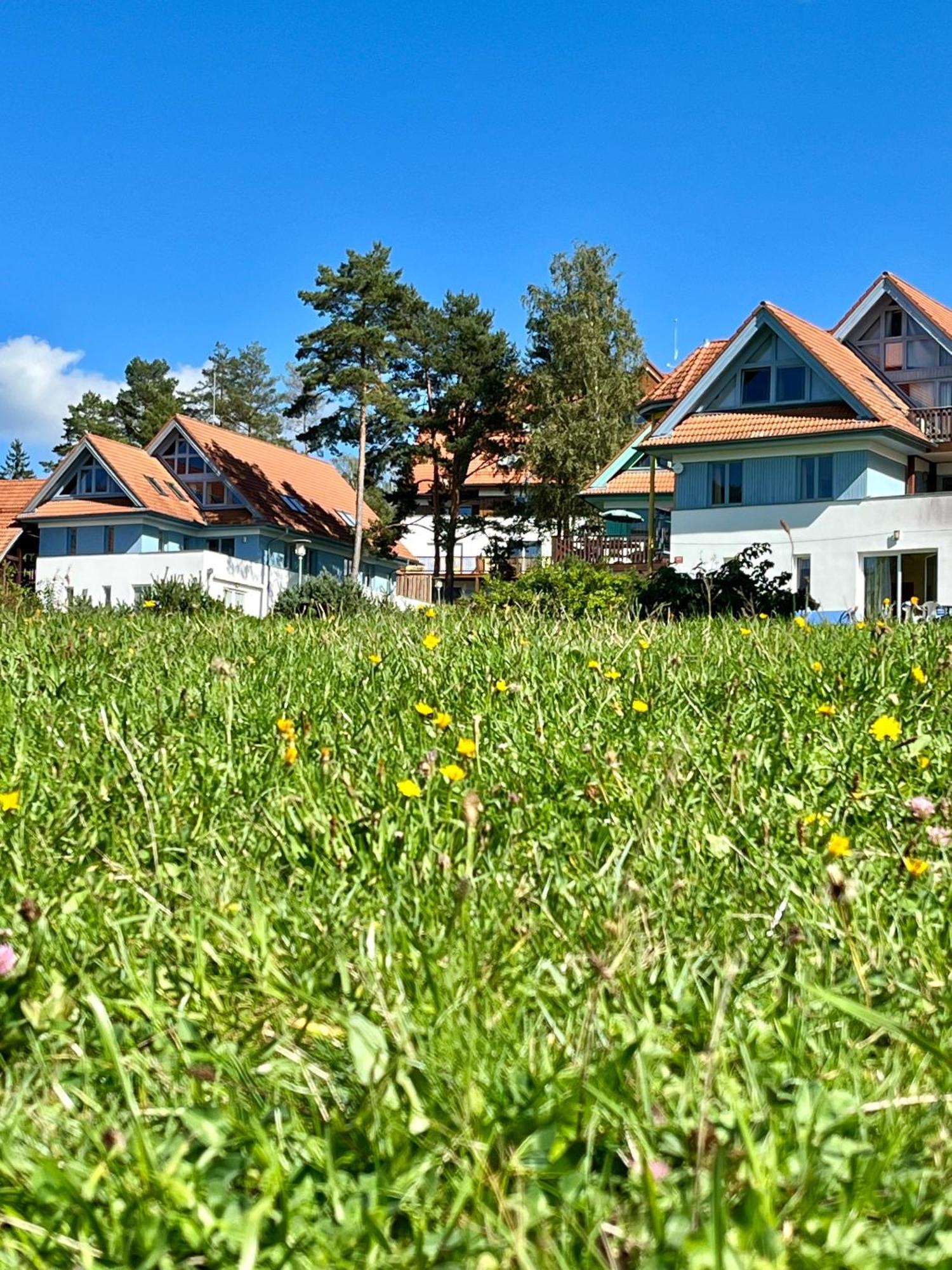 Lipno Beach Apartment ليبنو ناد فلتافو المظهر الخارجي الصورة
